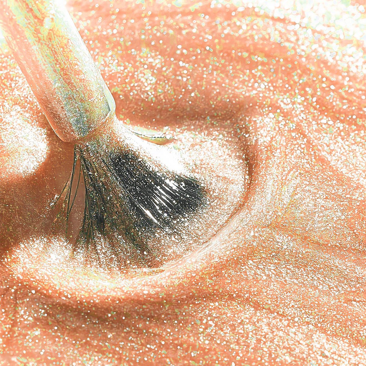Chameleon 03