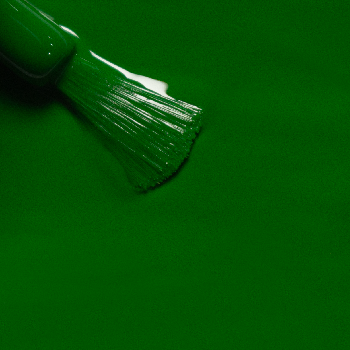 Forrest Green 05