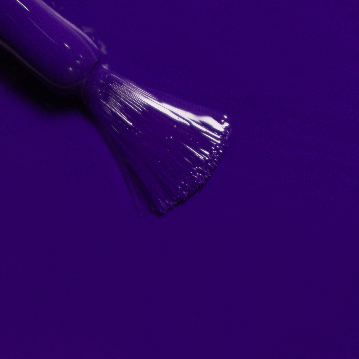 Purple Flower 04