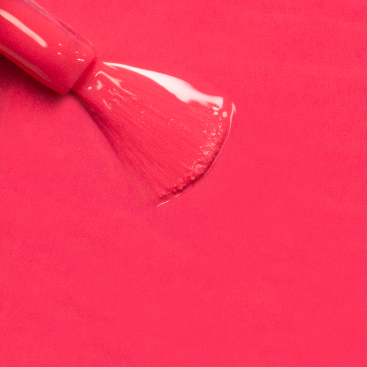 Rose Red 03