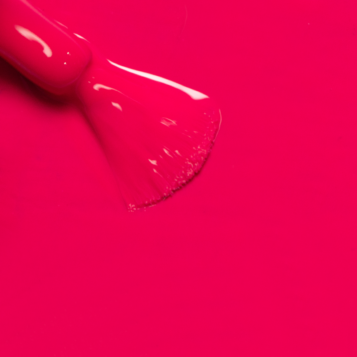 Rose Red 05
